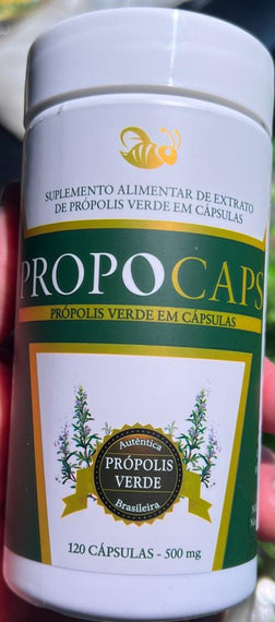 Propolis - Propocaps Própolis Verde em Cápsula 500mg | Extrato de Própolis | Própolis Verde em Cápsula (120)